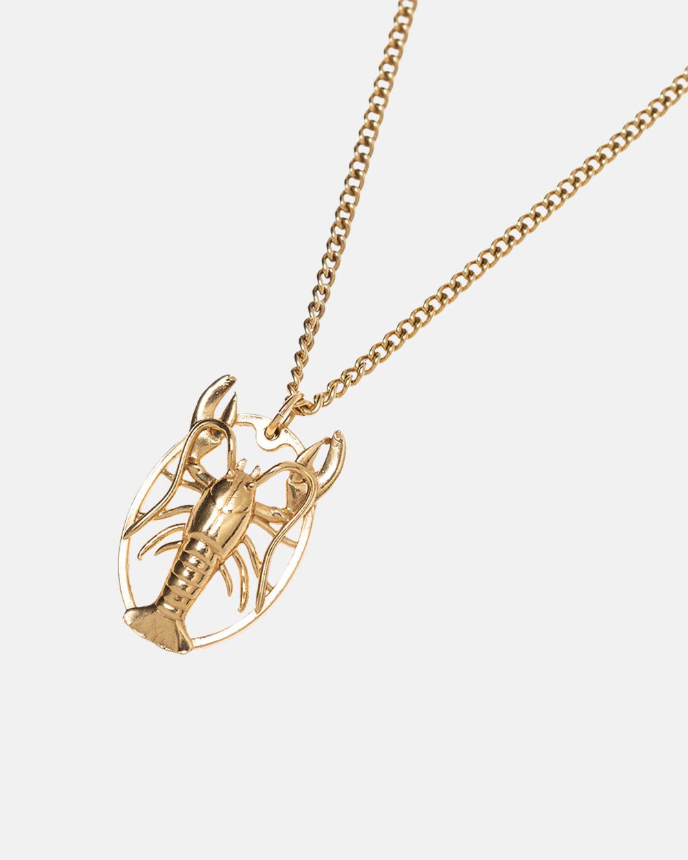 COLLAR DEL CANGREJO DE ORO