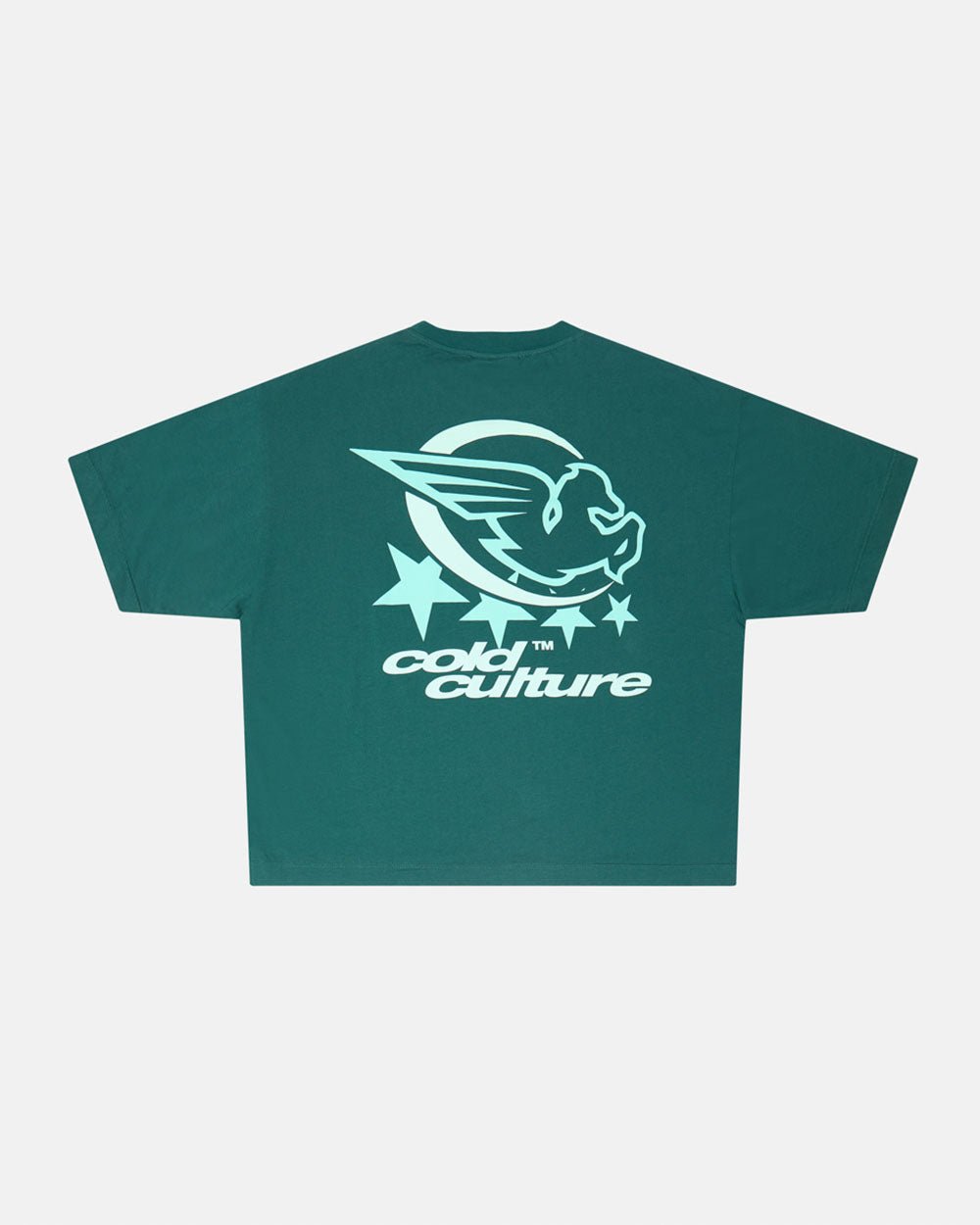 EXPLORA MÁS TEE JUNIO BICHO VERDE